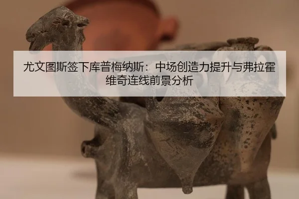 尤文图斯签下库普梅纳斯：中场创造力提升与弗拉霍维奇连线前景分析